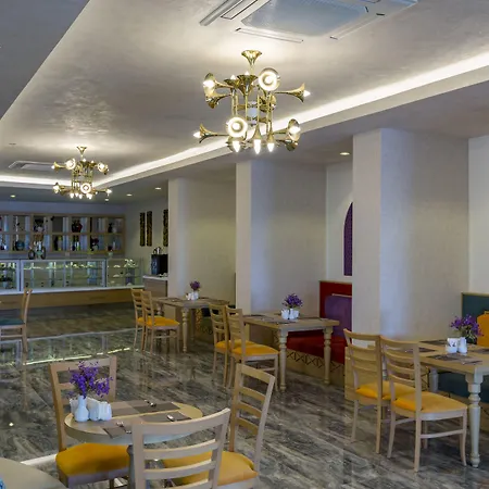 Royal Taj Mahal 호텔